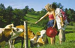 Wanderurlaub in Bayern Wanderwege Bayerischer Wald