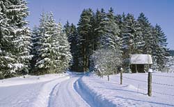 Skigebiet Bayerischer Wald